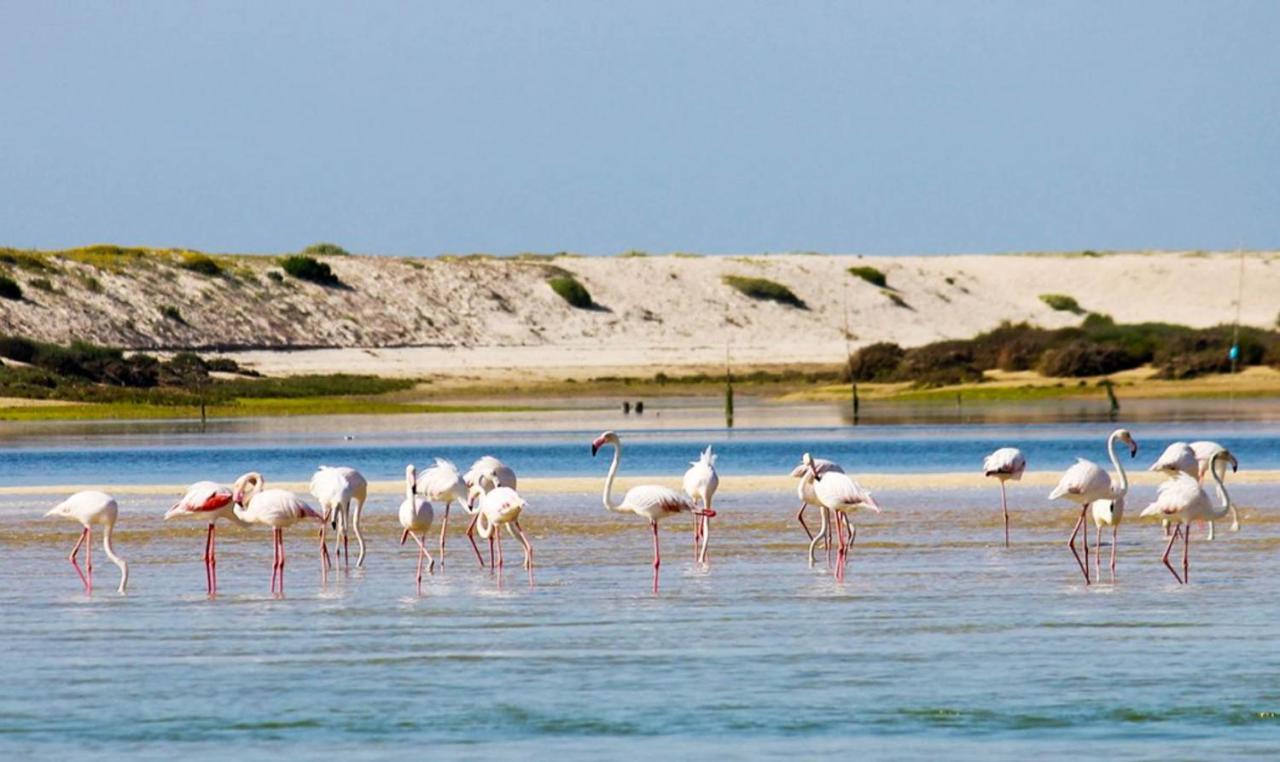 Salgados, Relax & Fun For Family Guia (Faro) Exterior foto